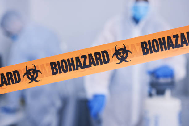 Professional Odor Removal technician working in Bonduel, WI